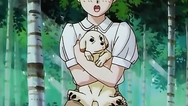 Noite sem medo (Stainless Night)