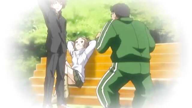 Maple Colors / Maple Colors (2 series)