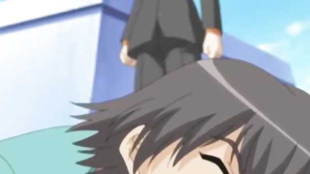 Maple Colors / Maple Colors (2 series)