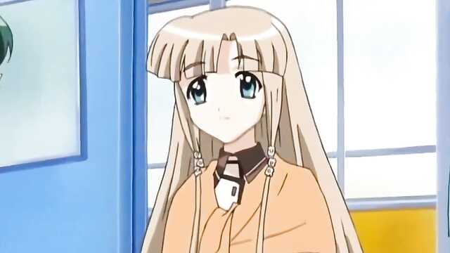 Maple Colors / Maple Colors (2 series)