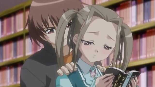 Maple Colors / Maple Colors (2 series)