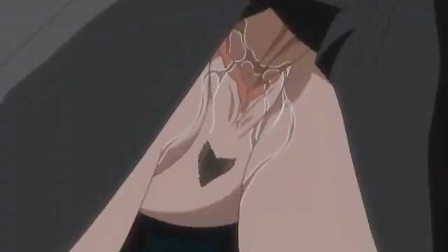 Maple Colors / Maple Colors (2 series)