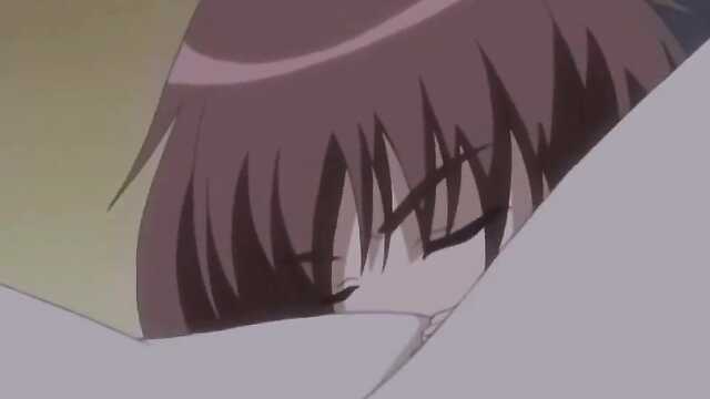 Maple Colors / Maple Colors (2 series)