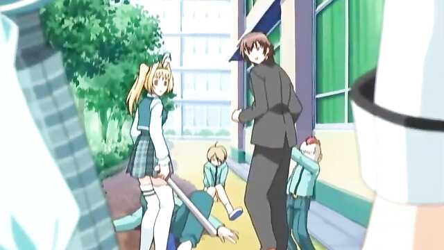 Kolory klonu / Maple Colors (1 Seria)