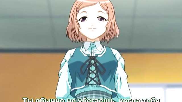 Kolory klonu / Maple Colors (1 Seria)