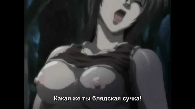 Открой для себя мир: Экскурсовод Shinjin