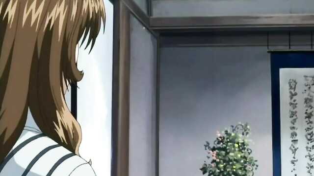 Открой для себя мир: Экскурсовод Shinjin