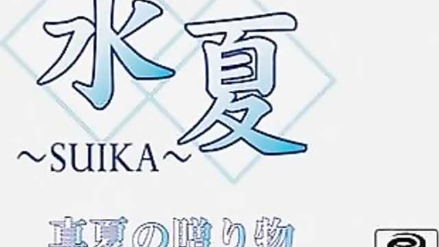 Летние дни: Особое дополнение