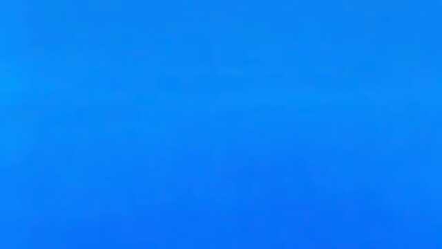 One: Великолепный сезон - Правдивые истории