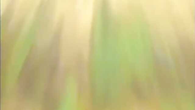 Izumo / Izumo ( 2 Odcinki)