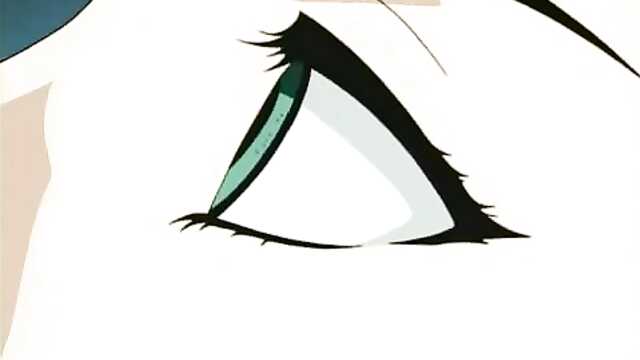 Midnight SWAT / Youshou (1 épisode)