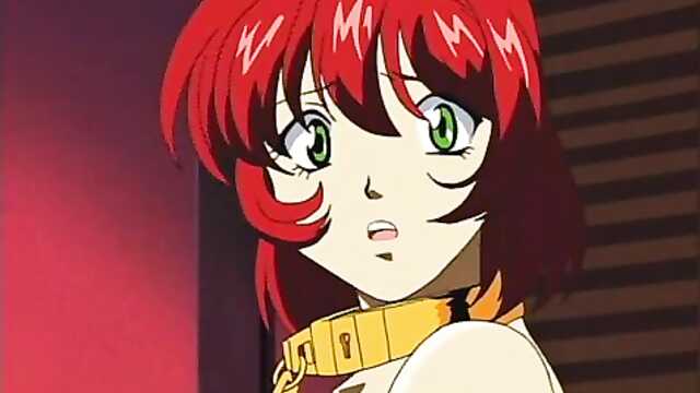 Hunters for DNA / DNA Hunter (2 series)